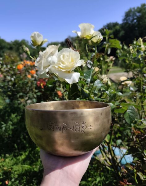 bras tendu avec un bol tibétain en métal dans la main. Magnifique rosiers avec roses blanches en arrière plan ainsi qu'un beau ciel bleu.